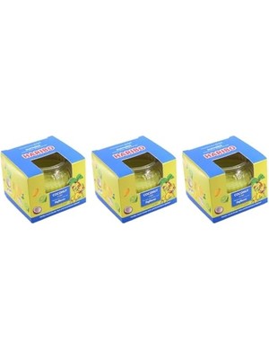 Defne Store Hindistan Cevizi Kokulu Cam Mum Hediye Seti, 3 Adet, Her Biri 85 G, 20 Saat Yanma Süresi