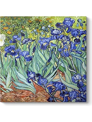 Defne Store Vincent Van Gogh, Iris Süsen Çiçeği Kanvas Tablosu 90 x 90