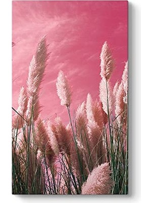 Defne Store Pembe Zeminli Pampas Tablosu 80 x 140