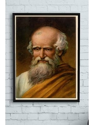 Defne Store (PSTER9857) Arşimet Bilimsel Çerçeveli Tablo (30 x 40 Cm)