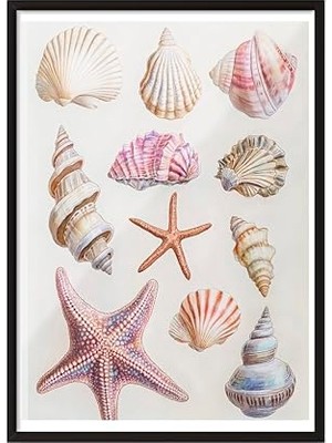 Defne Store Siyah Çerçeveli Tablo, Dalgaların Ardında – Renkli Kabuklar ve Deniz Esintisi Poster No: 107443 50 x 70