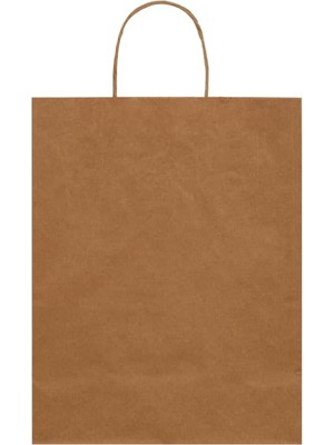 Defne Store Çanta, 20X10X22-25 Adet Burgu Saplı Kraft