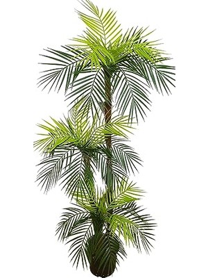 Defne Store 160 cm Yapay Areka Ağacı, 3 Gövde ve 3 Baş, Lifli Saksılı, 2469