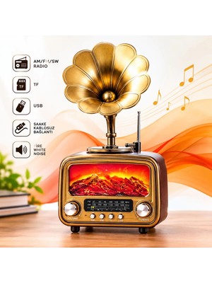 Aydogan's Ayd Vintage Retro Bluetooth Hoparlör Gramofon Tasarımlı Am Fm Sw Radyo USB Tf Kartlı RT-422