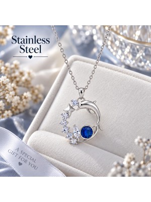 Stainless Steel Gümüş Renk Yunus Yıldızlı Gökyüzü Tasarm Çelik Kolye