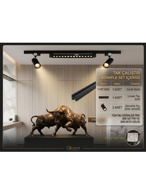 Econa 1 Metre Siyah Ray Spot Seti 30W Magnet Ray Spot - 1 Metre Siyah Ray - 3000K Gün Işığı,2 Adet 30W Ray Spot,tak Çalıştır Ray Spot Seti Komple Modern Aydınlatma Seti