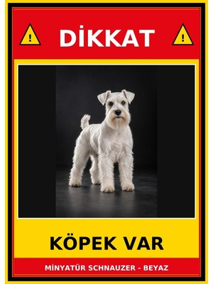 Ti Play Minyatür Schnauzer - Beyaz Dikkat Köpek Var Levhası 21X30 cm Uv Baskılı Pvc Uyarı Tabelası