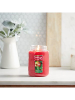 Yankee Candle Macintosh Elma Büyük Kavanoz Mum - Ferah, Tatlı - Ekşi Koku 623.7 gr