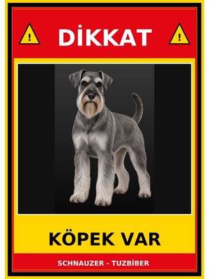 Ti Play Schnauzer - Tuzbiber Dikkat Köpek Var Levhası 50X70 cm Uv Baskılı Pvc Uyarı Tabelası