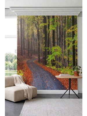 Dreamwall Sonbahar Orman Yolu Manzaralı Doğa Temalı Tek Parça Tekstil Duvar Kağıdı