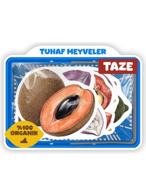 Baprile Tuhaf Meyveler Sticker Seti 22 Adet Egzotik Meyve Çıkartma Ajanda Bullet Journal Scrapbook Kolaj Etiket Seti