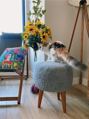 Maison Luré Puf & Bench Peluş Gri Coco Puf