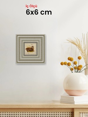 Hars Gallery Klasik Gümüş Çerçeve 6 x 6 cm Camlı