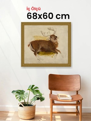 Hars Gallery Klasik Altın Çerçeve 68 x 60 cm Camlı