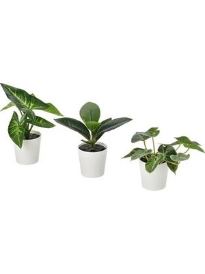 IKEA Fejka Saksılı Yapay Bitki , Yeşil, 3 Adet, Yaprak