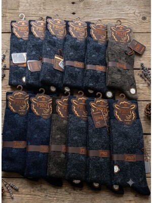 Pro Boutique Style Gökbel Lambswool (Yün) Erkek Çorap; Asorti 12'li Paket; Dikişsiz