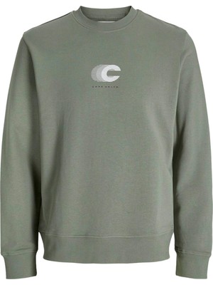 Vionna Jcovıbrant Sweat Crew Neck Styd AW24