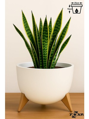 Store 5 Litre 25CM Küre Saksı Ayaklı Delikli Süzgeçli Plastik Çiçek Saksısı Fildişi
