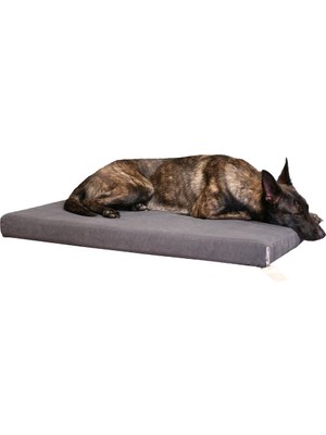 Vionna Cecepet Arya Serisi Ortopedik Premium Kedi ve Köpek Yatağı 100X70 cm