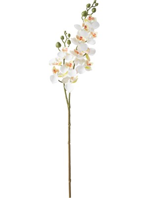 Vionna Delphıra Dal Çiçek Beyaz 62 cm