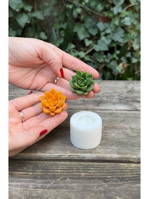 Vionna Rufus Concept Agavoides Sukulent Mum Kalıbı (Silikon)