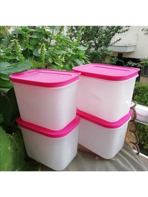 Vionna Tupperware 4 Adet 1.1 Lt Alaska