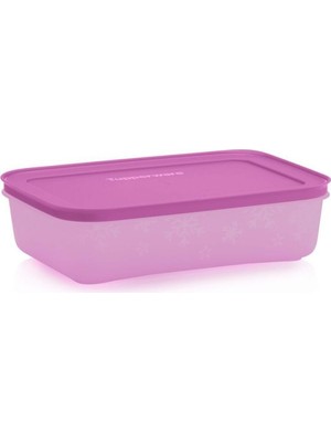 Vionna Tupperware Alaska 1 Litre Buzdolabı ve Derin Dondurucu Saklama Kabı