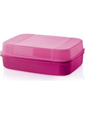 Vionna Tupperware Saklama Kabı F20 2.4 Lt Yeni Renk