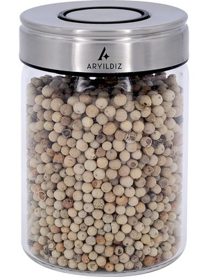Vionna Ar Yıldız Timeless Slim Saklama Kabı 260 ml