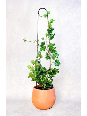 Destek Çubuğu – Siyah Metal Kancalıiğne Model, 65 Cm, Sarmaşık ve Büyük Yapraklı Bitkiler Için