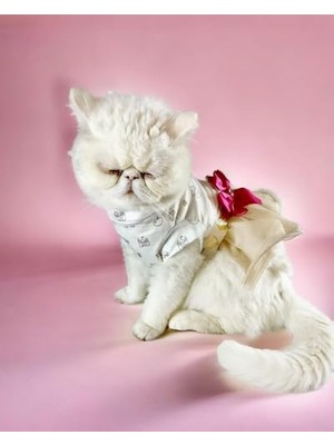 Vionna Creamy Fuschia Tütülü Kedi Elbisesi, Kıyafeti Tutu