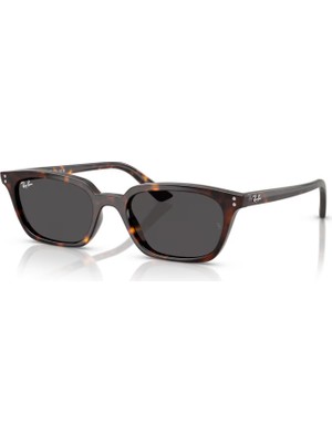 RB 4456 135987 53 Ray-Ban ZAYA Güneş Gözlüğü
