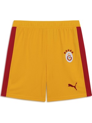 Gs Store Galatasaray Puma Retro Şort 78819881