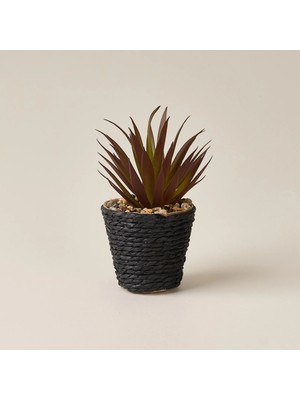 Matmel Deco Saksılı Yapay Sukulent - Turuncu - Bej / Turuncu - 15X9 cm