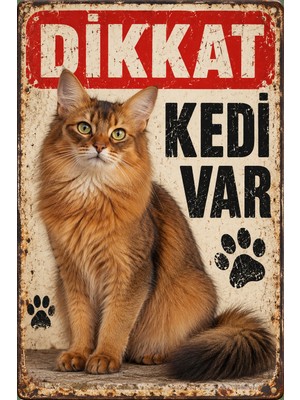 Lucena Somali Kedisi Dikkat Kedi Var Retro Metal Duvar Tabelası 15X20CM