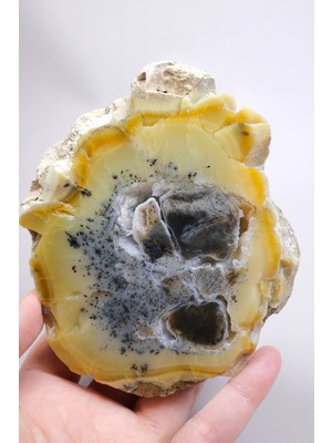 Healcrystal Bal-Sarı ve Buz-Mavi Dendritik Opal Levha - Kuvars Jeot Boşlukları ve Siyah Dendrit Tüyler, 377G