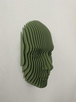 Echo Parametrik Yüz Tasarımı, 3D Katmanlı Modern Duvar Heykeli