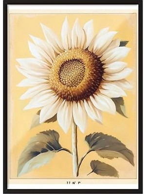 Zestia Siyah Çerçeveli Tablo; Ayçiçeği, Vintage Çiçek Sanatı Poster No: 107436 21 x 30