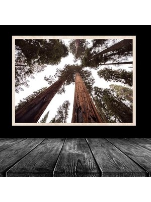 Çerçeve, 20LIK Naturel Krem Poster Resim Puzzle 48X68 cm 1000 Parça Çerçevesi Pvcli Postersiz Resimsiz
