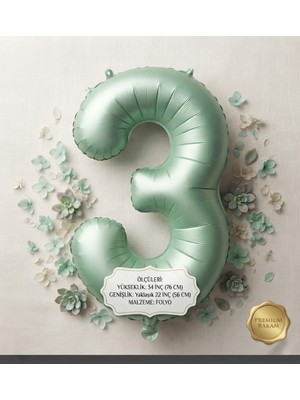 Çavuş E-Ticaret 3 Rakam Pastel Yeşil Rakam Folyo Balon Retro Renk Yeşil 3 Yaş Doğum Günü Folyo Balonu