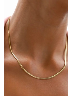 Ricco Jewellery 14 K Gold Kaplama 925 Ayar Gümüş Balık Sırtı Kolye