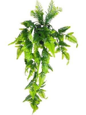 Nettenevime Yapay Çiçek Sarkan Boston Fern Yapraklı Bitki Küçük Siyah Saksıda Yapay Sarmaşı