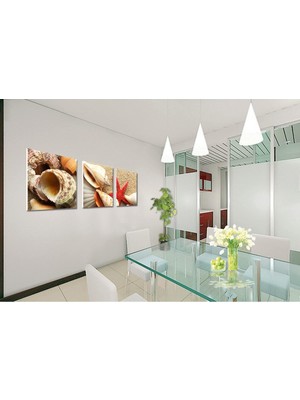 Lexroo 3lü Tablo, Talya Kanvas Tablo. Parçalı Deniz Kabuğu Dekoratif Duvar Panosu. Üçlü, Salon, Deniz, Gemi, Yelkenli, Atatürk Tabloları. Salon Için Ideal. Ebatları 40X40 Cmlik. Toplam 120X40 cm