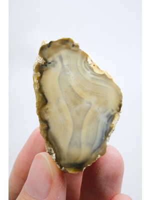 Healcrystal Topraksı Kahve ve Krem Dendritik Opal Merlinit Dilimi, 35G
