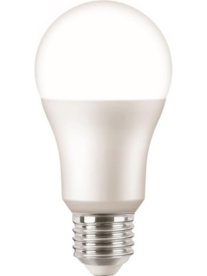 Ledbulb 13-100W E27 6500K Beyaz Işık LED Ampul