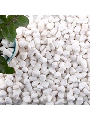 Defne Store Dolomit Taş 15 kg 1-2 cm Beyaz Saksı Dibi Dekoratif Teraryum Taşı Bahçe