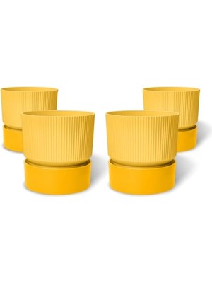 Şanal Iksora Saksı Dekoratif Tabaklı Çiçek Kaktüs Saksısı Mat Plastik (4 Adet, Sarı, 4 Litre)