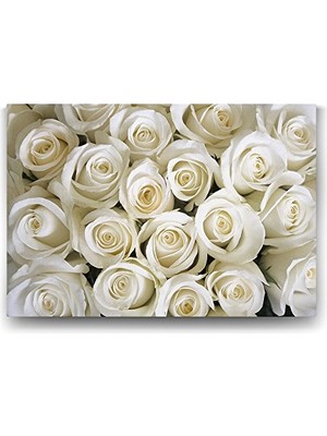 aklow akyoleticaret Beyaz Gül Buketi 60X40 cm Duvar Tablosu