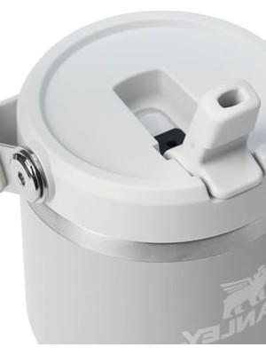 Şanal Pipetli Termos Bardak, 0.60 Litre Kapasite ile Şık Tasarım