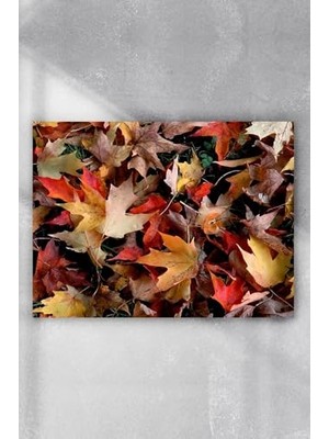 aklow akyoleticaret PSTER6532 Sonbahar Manzara Posteri 3 (60X90 Cm)